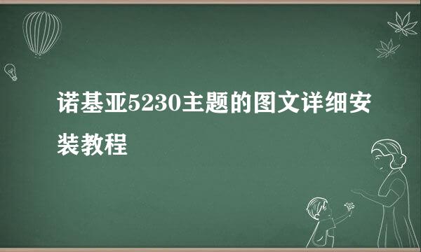 诺基亚5230主题的图文详细安装教程