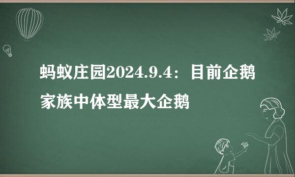 蚂蚁庄园2024.9.4：目前企鹅家族中体型最大企鹅