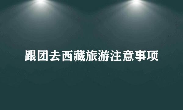 跟团去西藏旅游注意事项