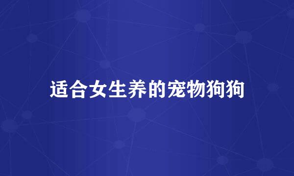 适合女生养的宠物狗狗