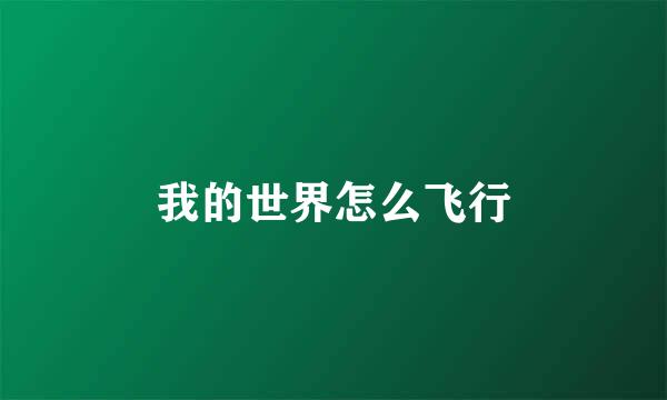 我的世界怎么飞行