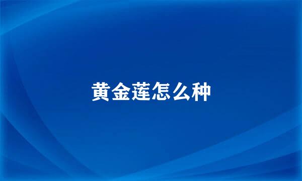 黄金莲怎么种