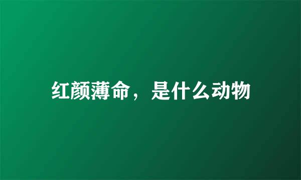 红颜薄命，是什么动物