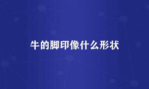 牛的脚印像什么形状
