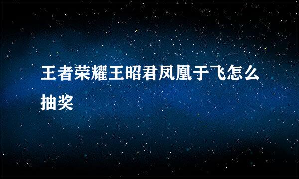 王者荣耀王昭君凤凰于飞怎么抽奖