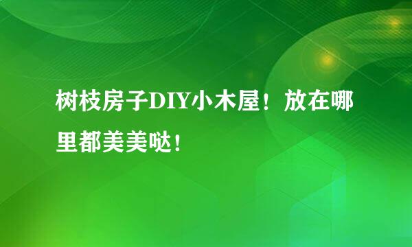 树枝房子DIY小木屋！放在哪里都美美哒！