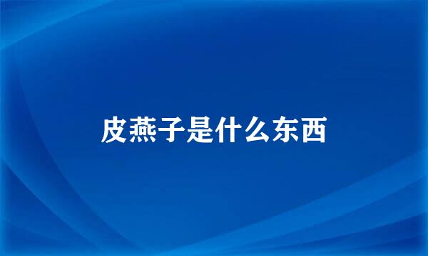 皮燕子是什么东西