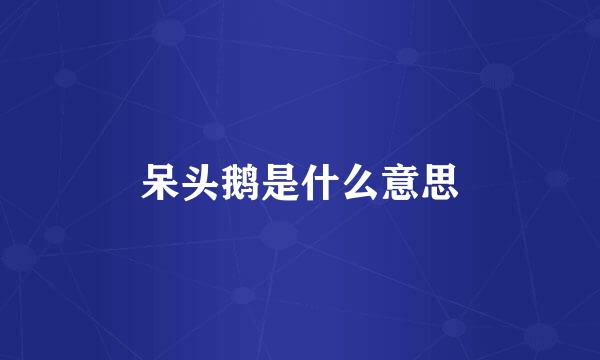 呆头鹅是什么意思
