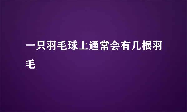 一只羽毛球上通常会有几根羽毛