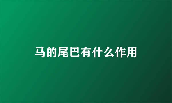 马的尾巴有什么作用