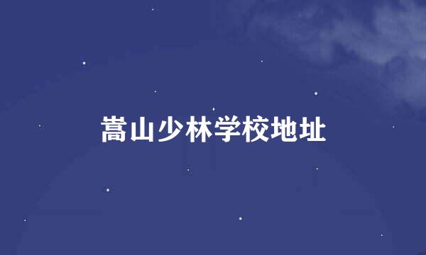 嵩山少林学校地址