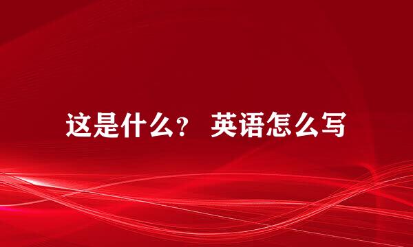 这是什么？ 英语怎么写