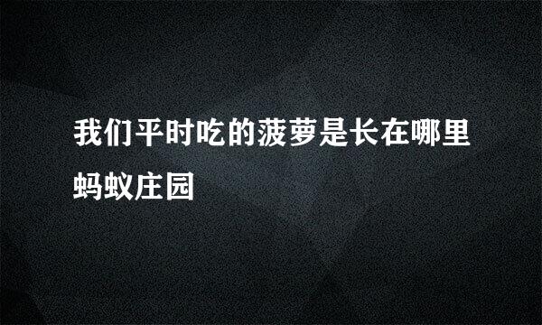 我们平时吃的菠萝是长在哪里蚂蚁庄园