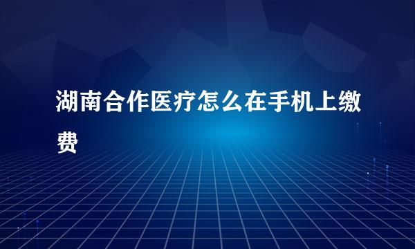 湖南合作医疗怎么在手机上缴费
