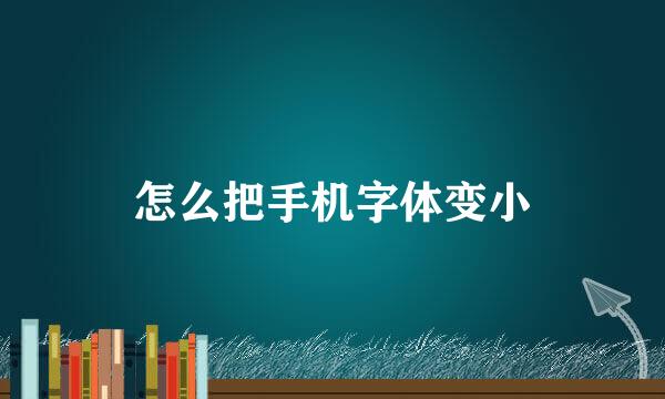 怎么把手机字体变小