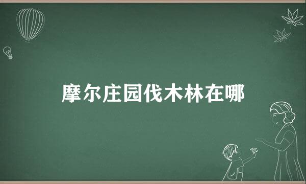 摩尔庄园伐木林在哪