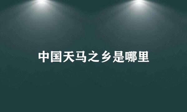 中国天马之乡是哪里