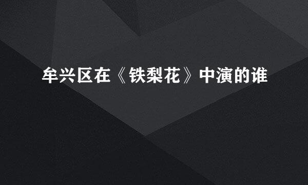 牟兴区在《铁梨花》中演的谁
