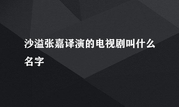 沙溢张嘉译演的电视剧叫什么名字