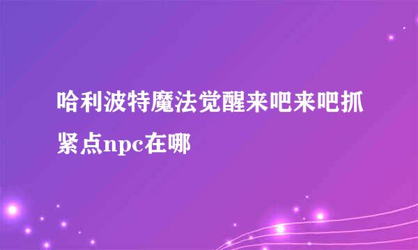 哈利波特魔法觉醒来吧来吧抓紧点npc在哪