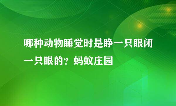 哪种动物睡觉时是睁一只眼闭一只眼的？蚂蚁庄园