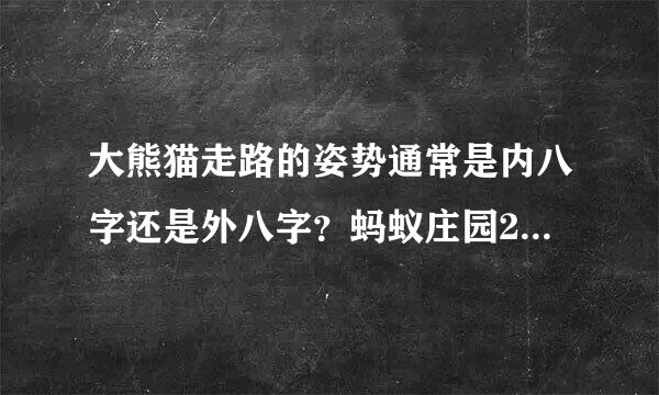 大熊猫走路的姿势通常是内八字还是外八字？蚂蚁庄园2024年8月16日问题