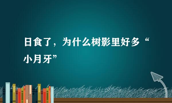 日食了，为什么树影里好多“小月牙”