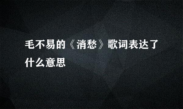 毛不易的《消愁》歌词表达了什么意思