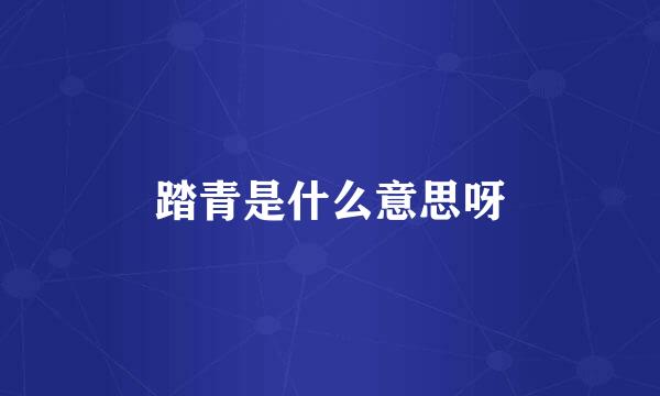 踏青是什么意思呀
