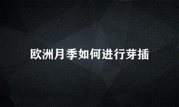 欧洲月季如何进行芽插