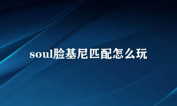 soul脸基尼匹配怎么玩