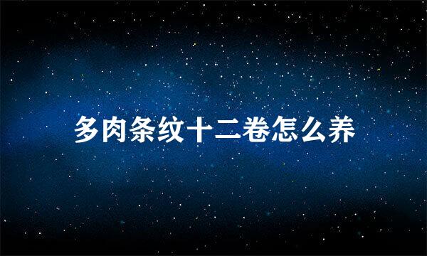 多肉条纹十二卷怎么养