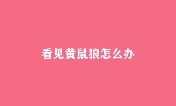 看见黄鼠狼怎么办