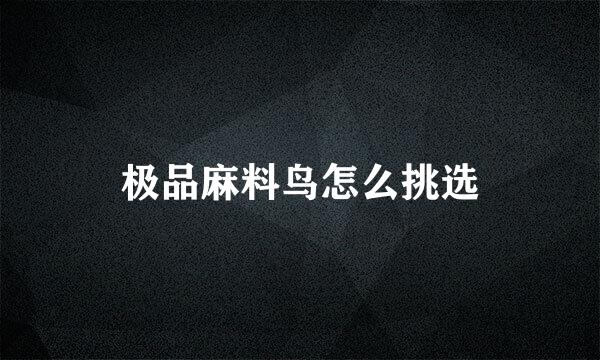 极品麻料鸟怎么挑选