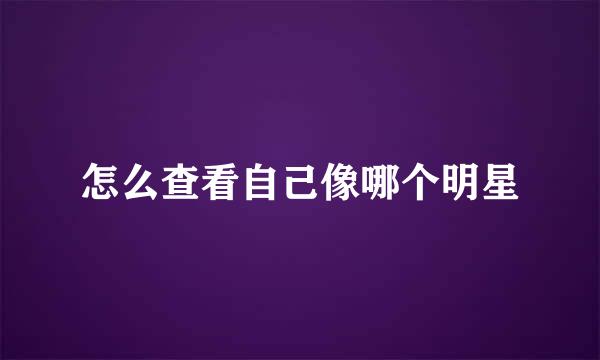 怎么查看自己像哪个明星