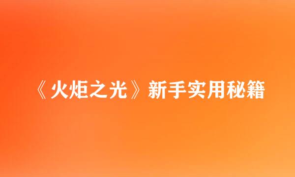 《火炬之光》新手实用秘籍