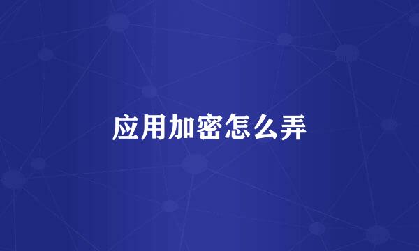 应用加密怎么弄