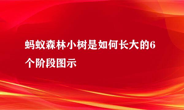 蚂蚁森林小树是如何长大的6个阶段图示