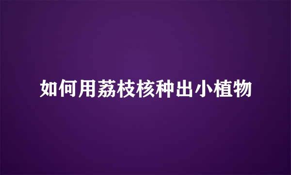 如何用荔枝核种出小植物