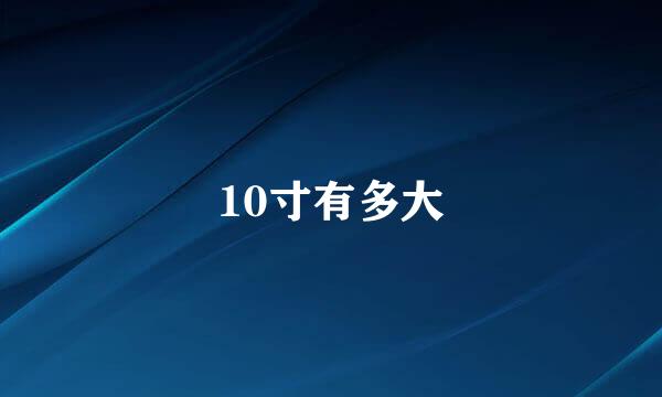 10寸有多大