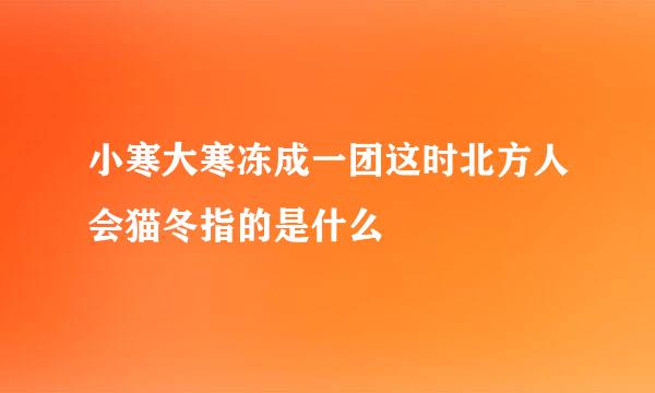 小寒大寒冻成一团这时北方人会猫冬指的是什么