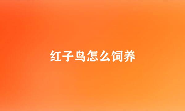 红子鸟怎么饲养