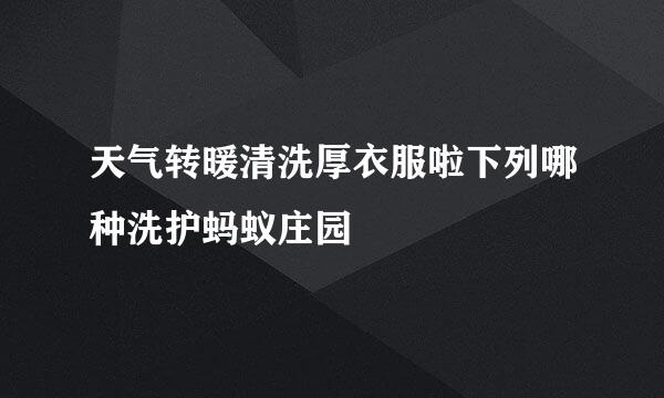 天气转暖清洗厚衣服啦下列哪种洗护蚂蚁庄园