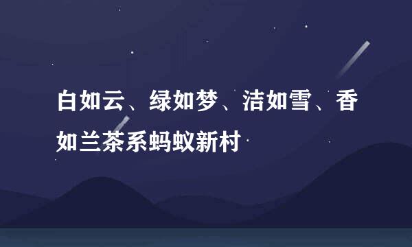 白如云、绿如梦、洁如雪、香如兰茶系蚂蚁新村