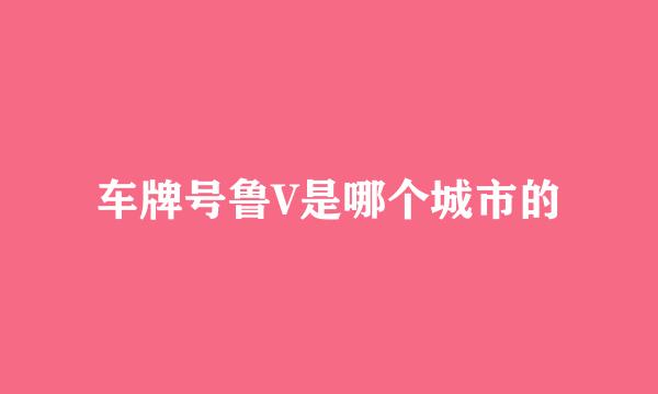 车牌号鲁V是哪个城市的