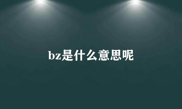 bz是什么意思呢