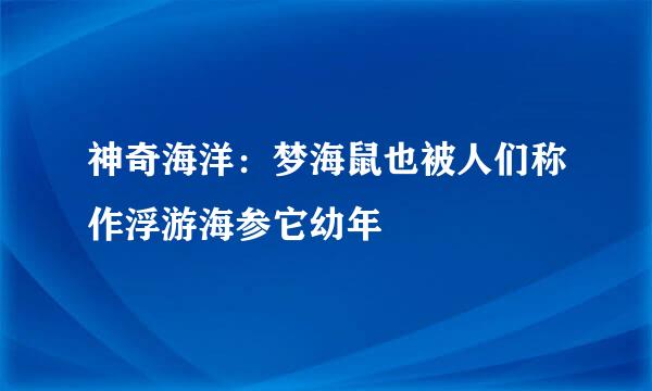 神奇海洋：梦海鼠也被人们称作浮游海参它幼年