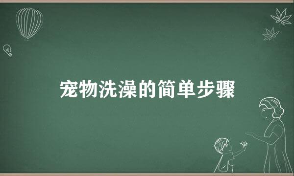宠物洗澡的简单步骤