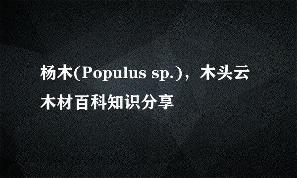 杨木(Populus sp.)，木头云木材百科知识分享