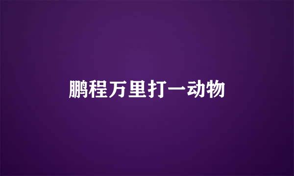 鹏程万里打一动物